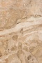 Брекчия Оничиато (Breccia Oniciata) 20 мм 